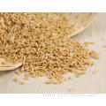 Oat Rice Recipe